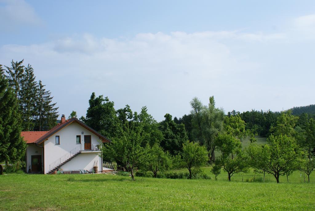 Apartments Leni Postojna Exterior foto